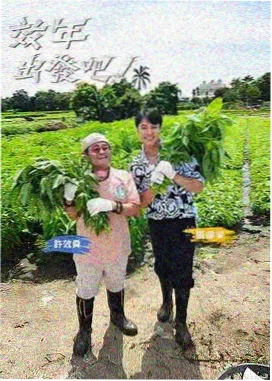 厨房的哲学综艺在线播放免费观看